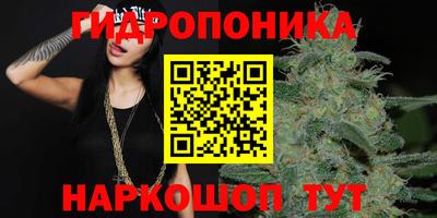 стаф Краснодар