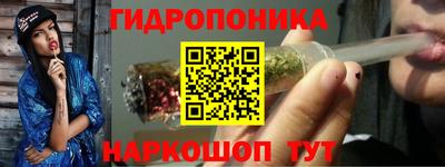 стаф Краснодар