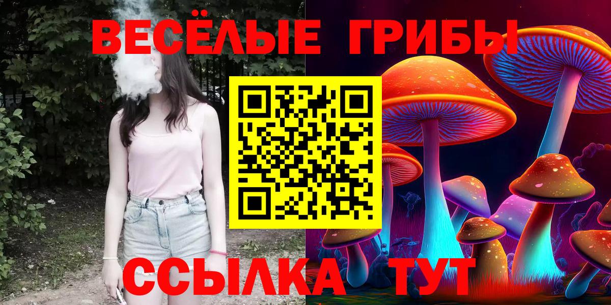 Псилоцибиновые грибы GOLDEN TEACHER Знаменск
