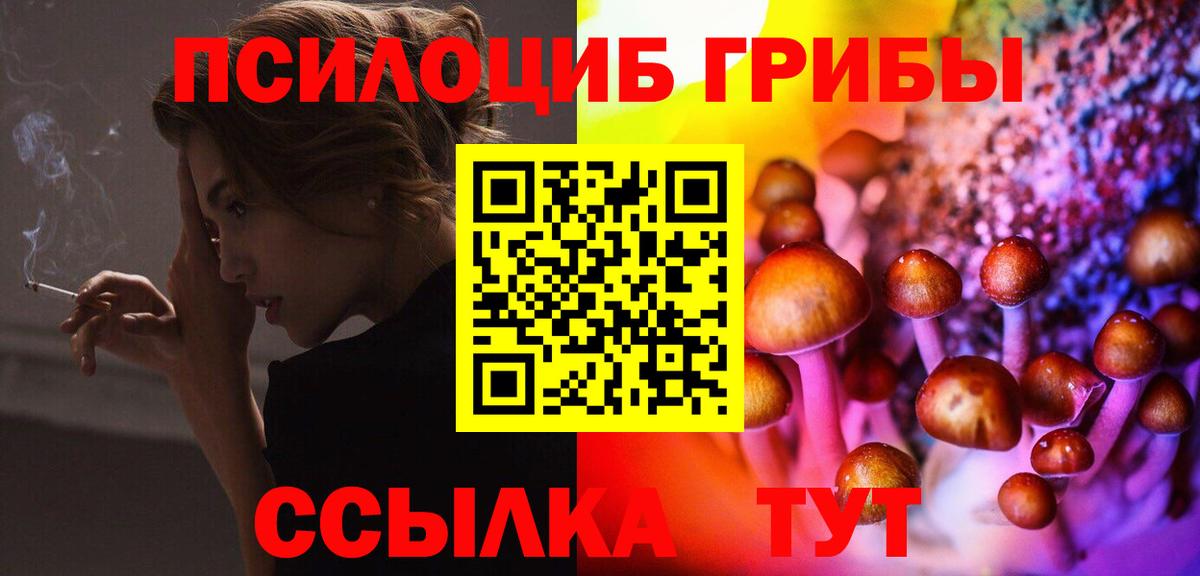 Псилоцибиновые грибы GOLDEN TEACHER  Вход с VPN  Знаменск  Галлюциногенные грибы Psilocybe 
